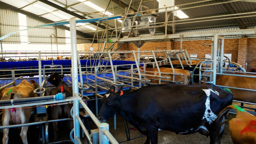 0 Bedroom Property for Sale in Stutterheim Rural Eastern Cape